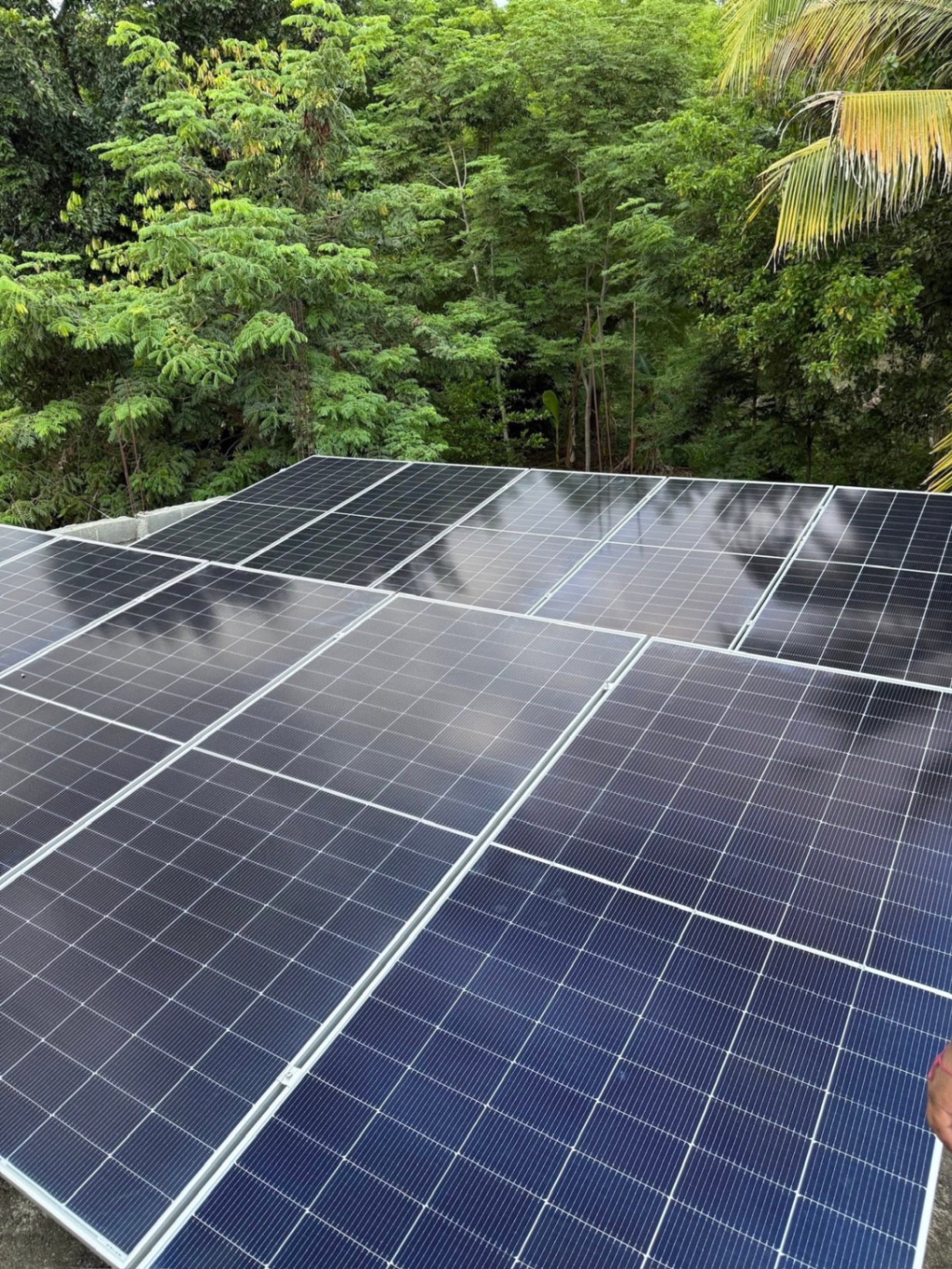 Panel solar Longi de cerca